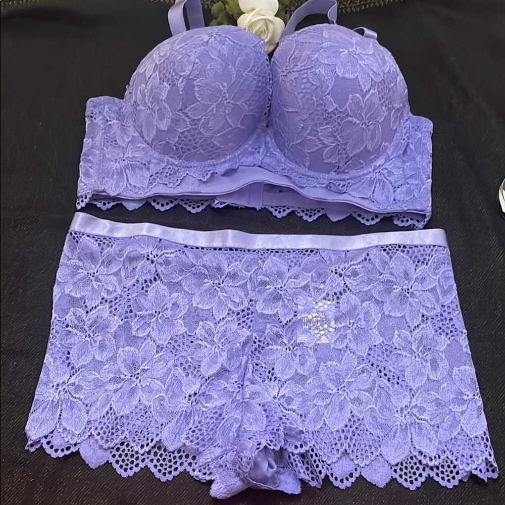 Plus Size Lace Bra Set Size - 40C/3X
